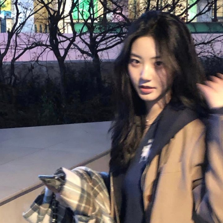 莫里斯的情人